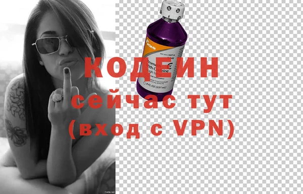 молекула духа Осинники