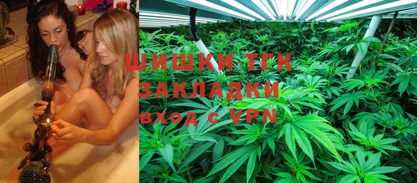 молекула духа Осинники