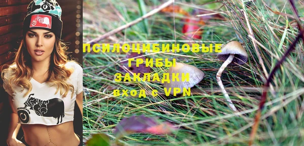 молекула духа Осинники