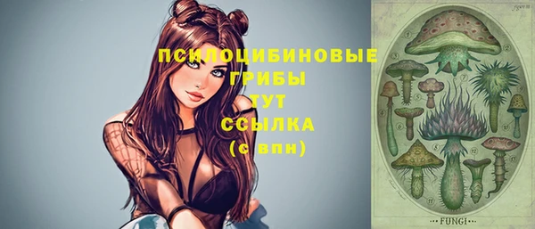 прущая мука Остров
