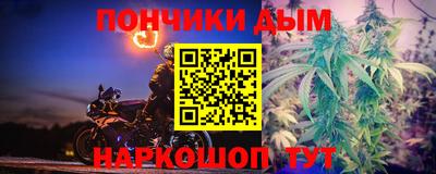 тгк Бийск