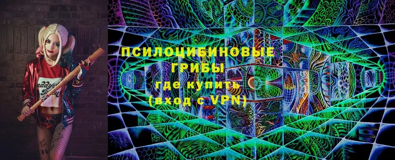 Галлюциногенные грибы Cubensis  это состав  Большой Камень 