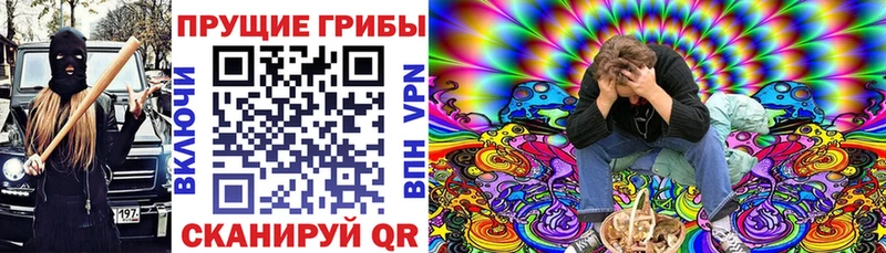Псилоцибиновые грибы GOLDEN TEACHER  Большой Камень 