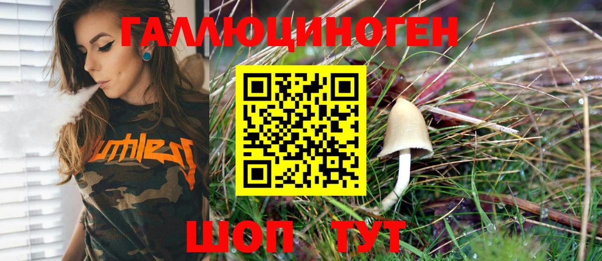 Галлюциногенные грибы Cubensis Большой Камень