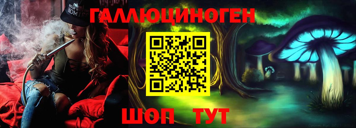 Галлюциногенные грибы Psilocybine cubensis  цена   Большой Камень  Вход с VPN 